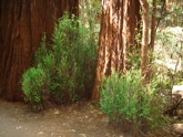 DSC01455